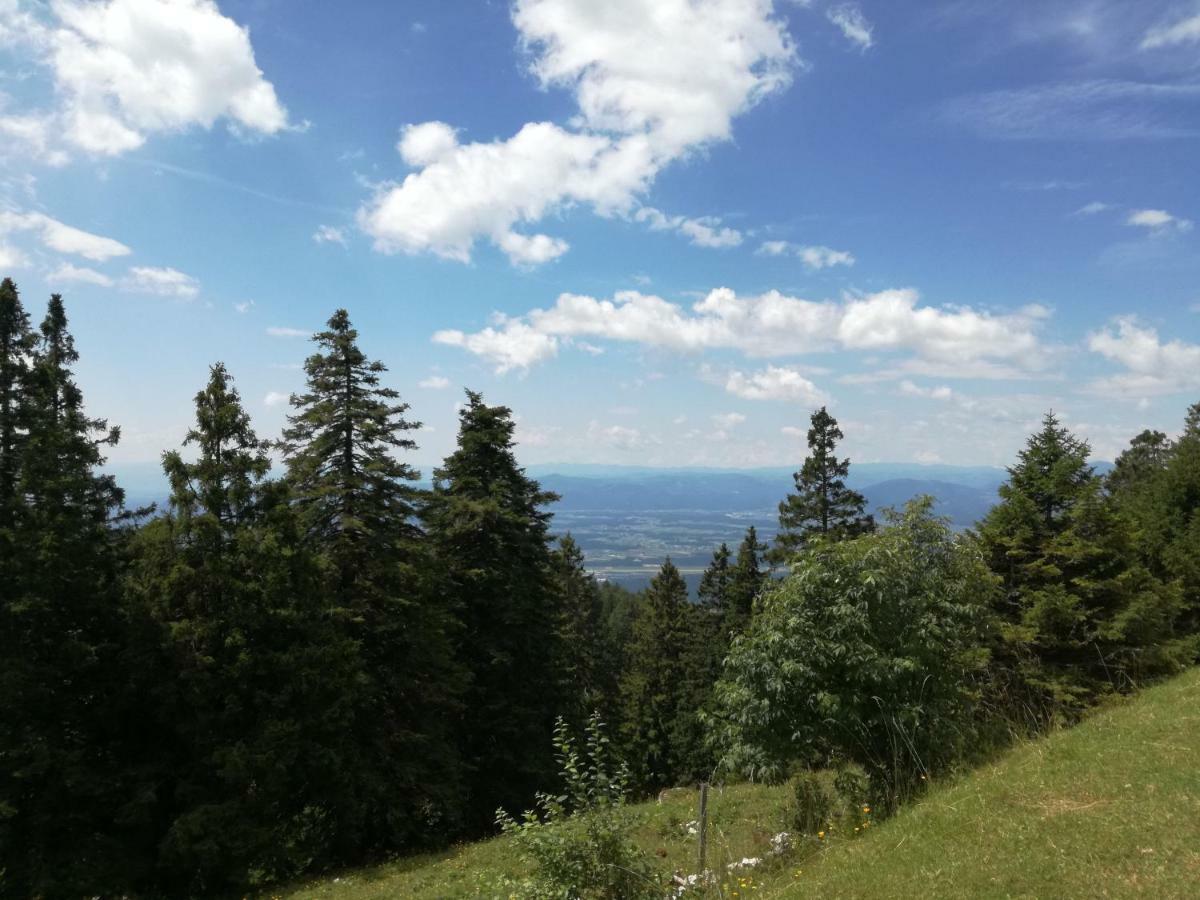 Apartmaji Vrhovnik Cerklje na Gorenjskem Extérieur photo